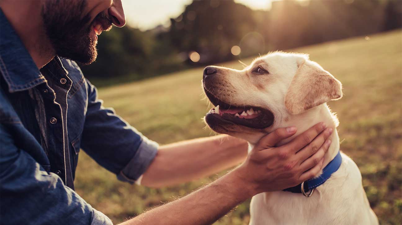 9 Best Pet-Friendly Drug Rehab Centers - Addiction Resource