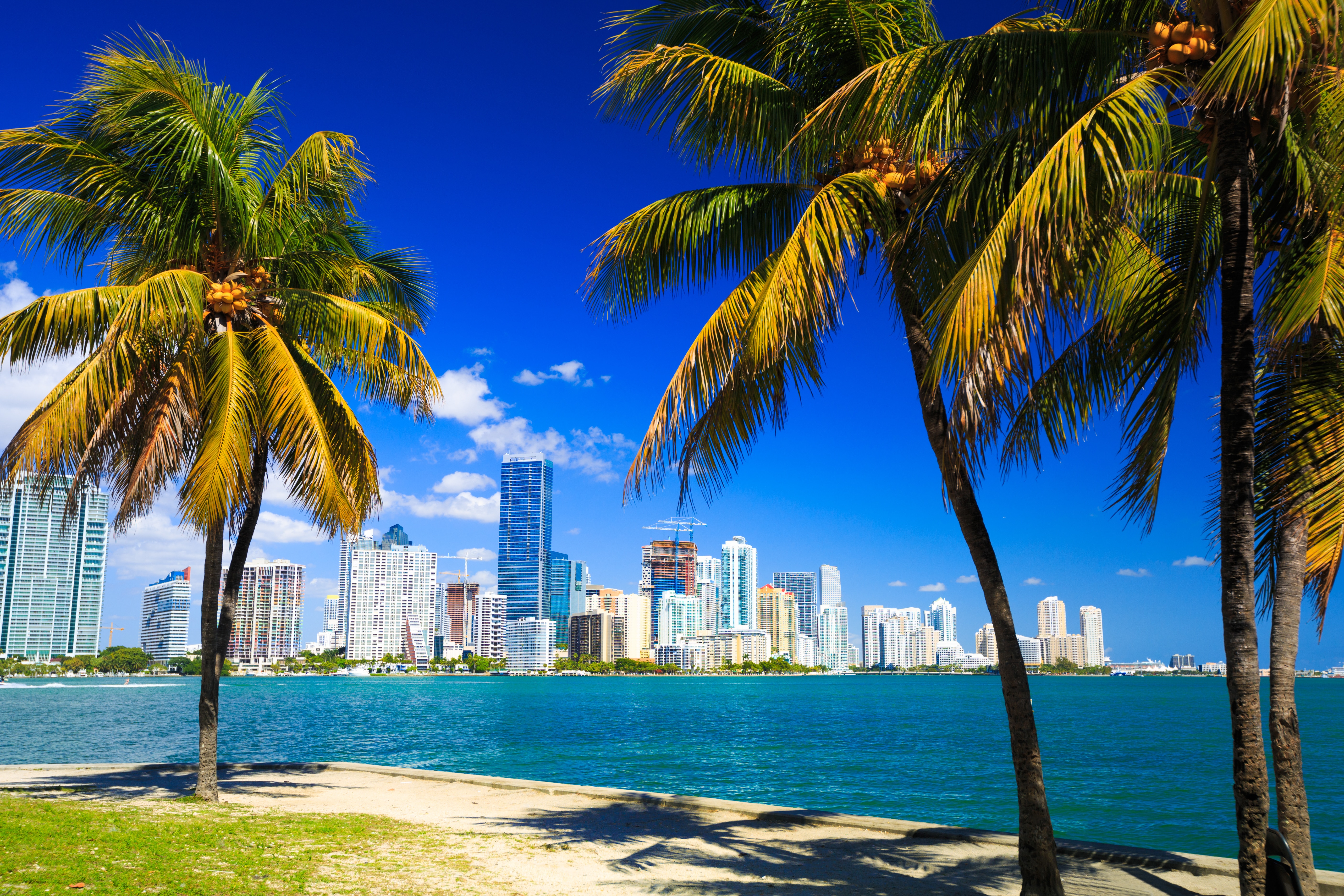 Addiction Treatment Options In Miami, Florida