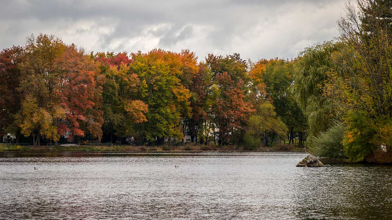 Mansfield, Massachusetts Alcohol And Drug Rehab Centers