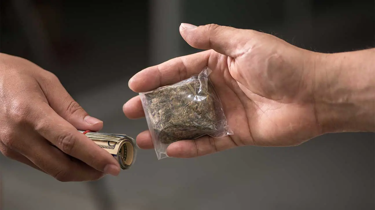 What Is The Average Cost Of Marijuana On The Street?