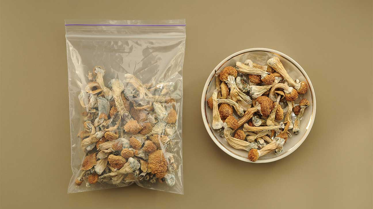 How Many Grams in a Half Ounce of Mushrooms? 