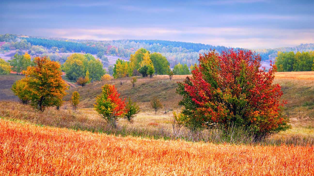 Wauwatosa, Wisconsin Alcohol And Drug Rehab Centers