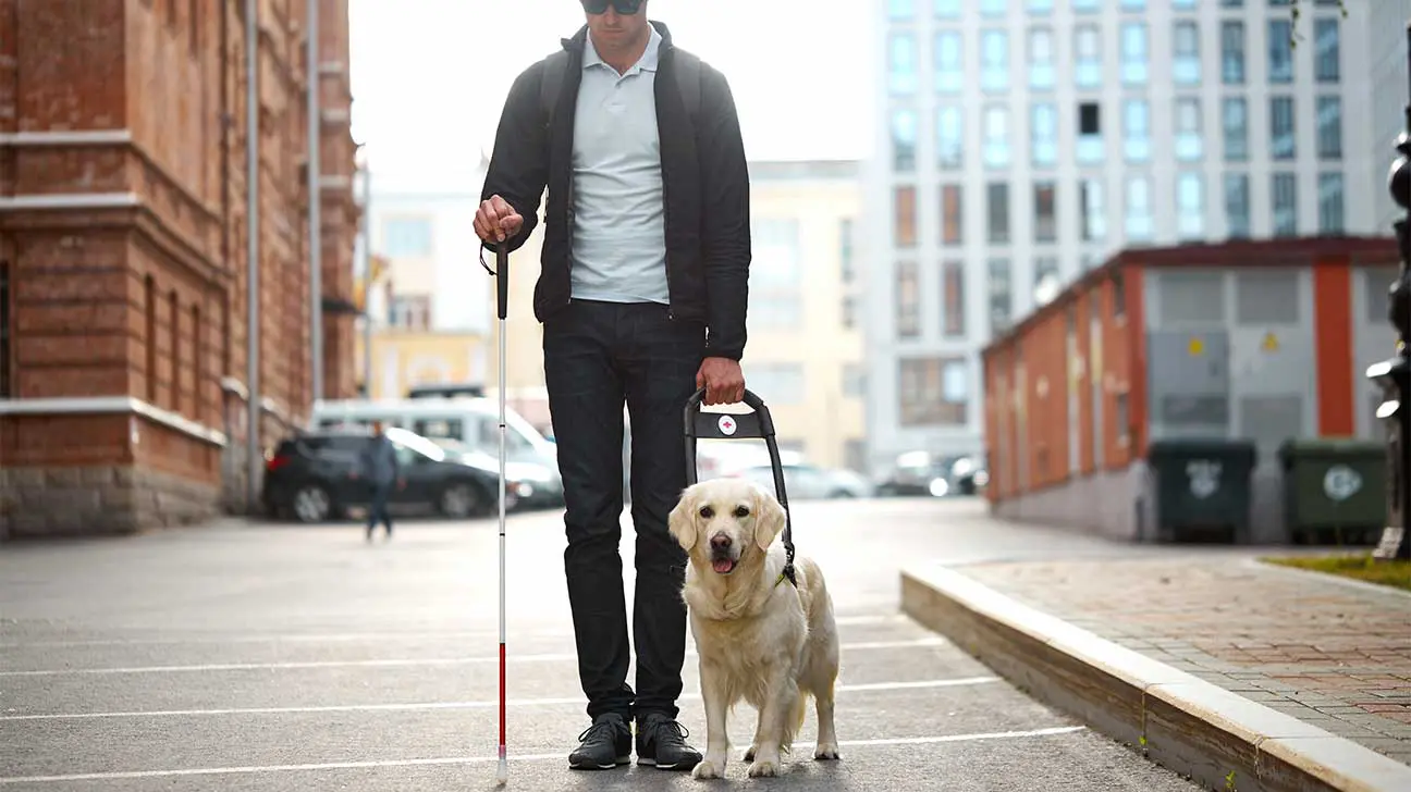 Seeking Addiction Recovery For The Visually Impaired