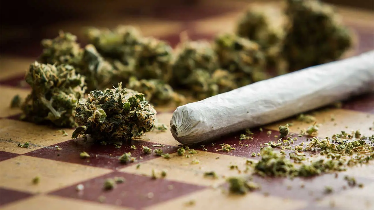 What Is A Lethal Dose Of Marijuana?