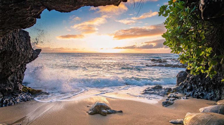 3 Best Rehab Centers In Hawaiian Paradise Park, HI - Addiction Resource