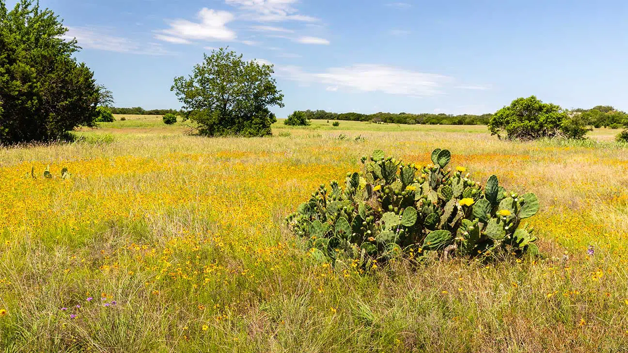 Southlake, Texas Alcohol And Drug Rehab Centers