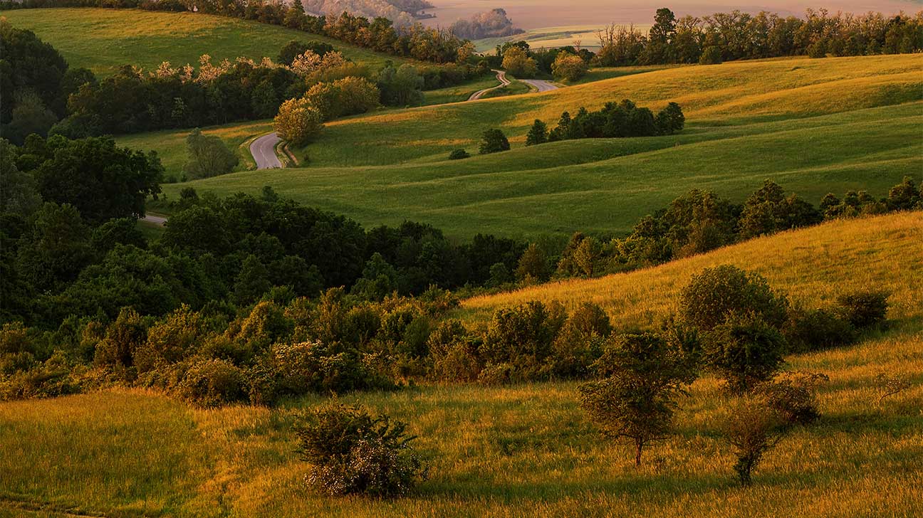 Collinsville, Illinois Alcohol And Drug Rehab Centers