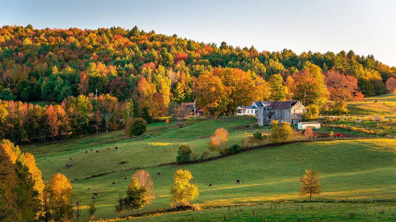 Westford, Vermont Alcohol And Drug Rehab Centers