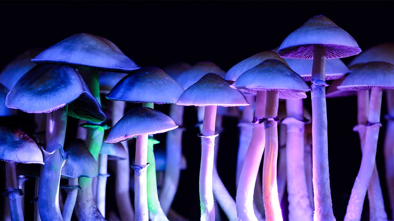 Can I Become Addicted To Shrooms (Psilocybin)?
