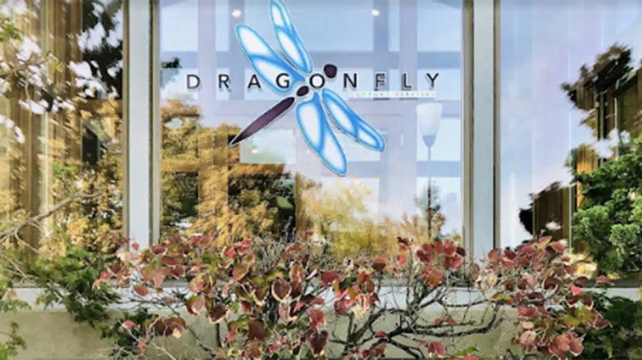Dragonfly Support Services - Coeur d'Alene, Idaho
