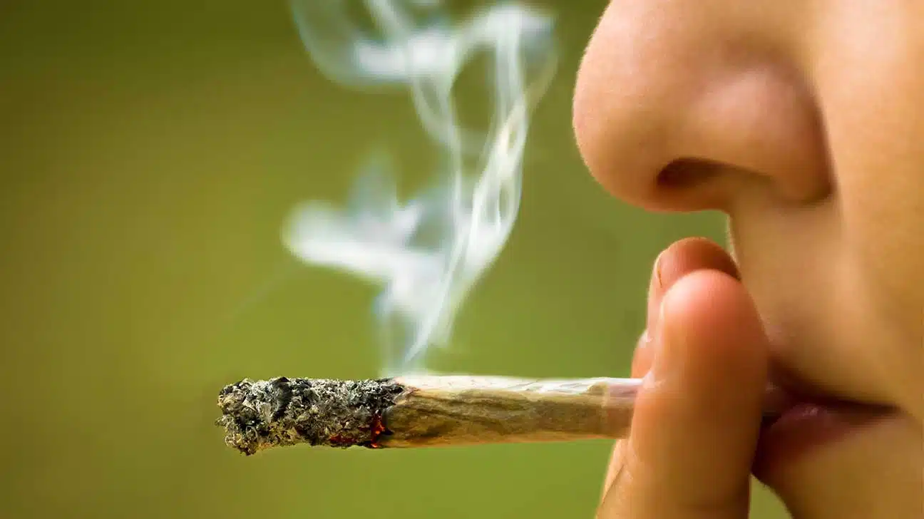 Weed May Interfere With Brain Development In Teens