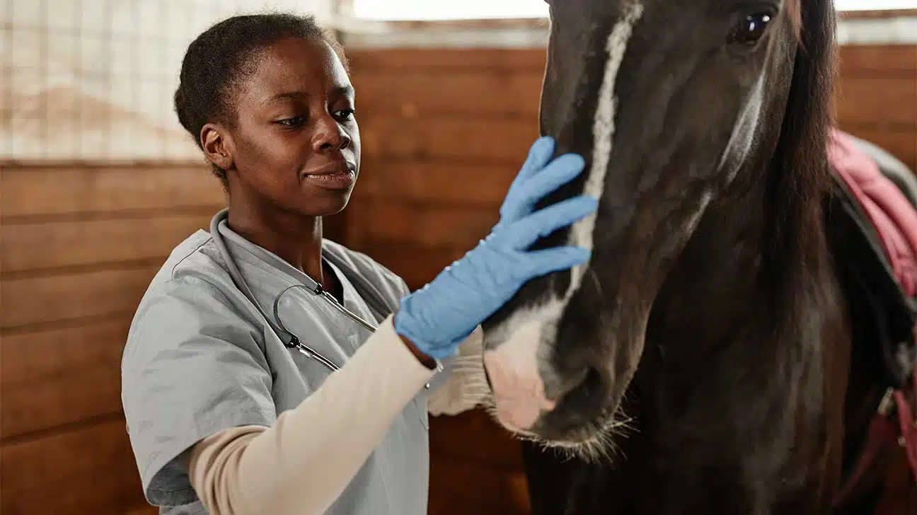 Overdose Deaths Involving Horse Tranq Have Skyrocketed, CDC Reports
