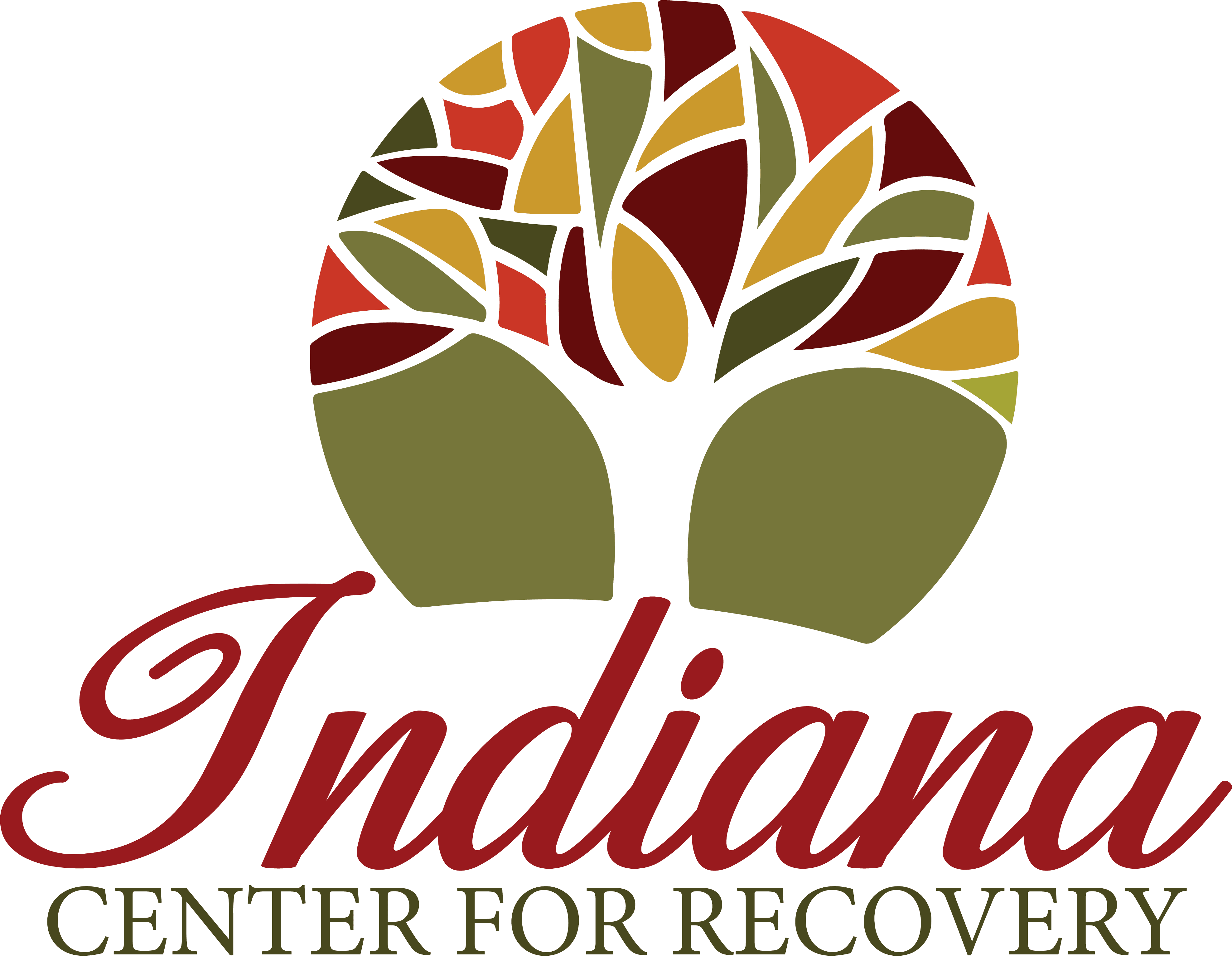 Indiana Center for Recovery - Carmel