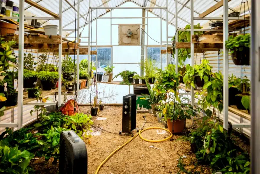 Ripple Ranch Recovery Center